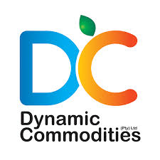Dynamic Commodities